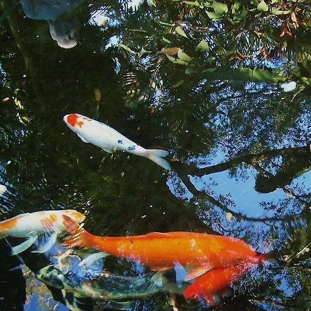 アパート Apartments-leipzig *